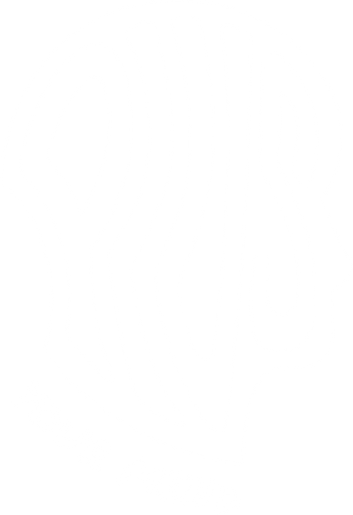 plusyourmind